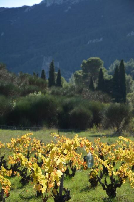 Villa Vilata A Padern Dans Les Corbieres Sauvages Ngoại thất bức ảnh